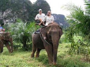 krabi elephant tour